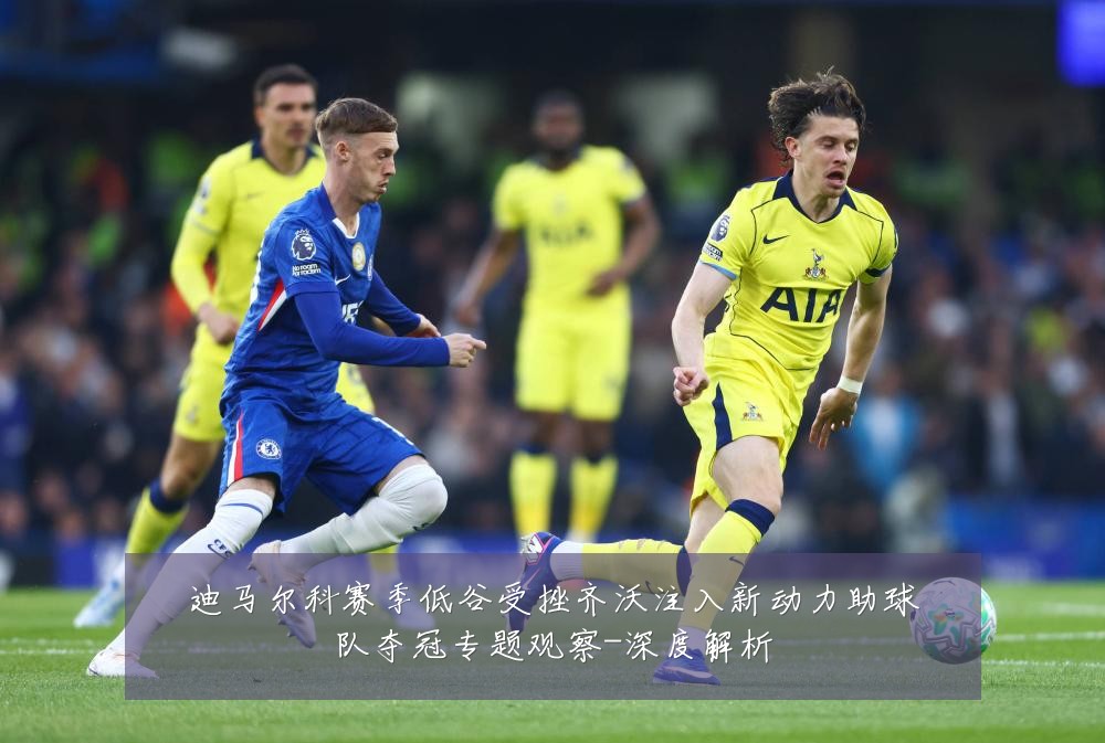 迪马尔科赛季低谷受挫齐沃注入新动力助球队夺冠专题观察-深度解析