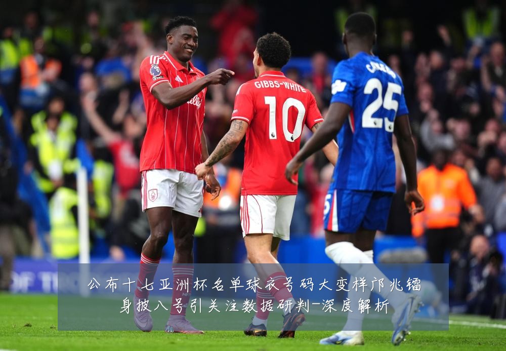 公布十七亚洲杯名单球衣号码大变样邝兆镭身披八号引关注数据研判-深度解析